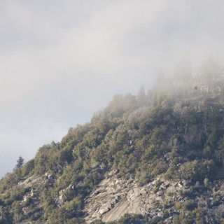 Misty Mountain Ridge Emerging Through Morning Fog