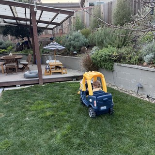 Child Playing in Backyard with Toy Truck at Dusk