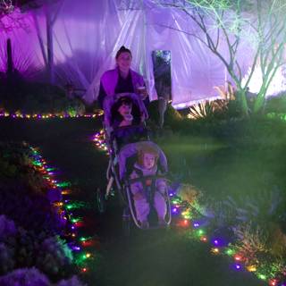 Enchanted Stroll Through Illuminated Gardens