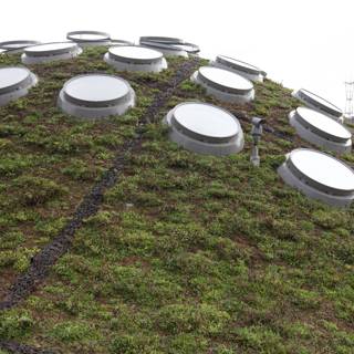 Circular Windows on a Green Roof