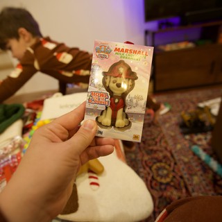Child Holding Paw Patrol Marshall Christmas Ornament
