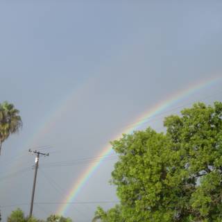 Double Rainbow Delight