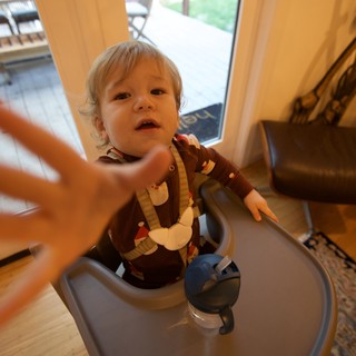 Toddler Reaching Out in Home Kitchen on Christmas