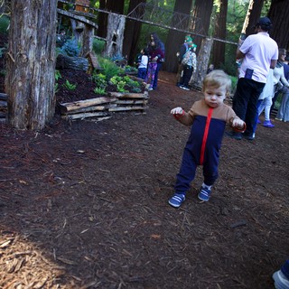 Natural playground or forest park