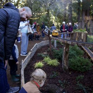 Woodland Wonderland at Thistlewyck