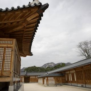 Serene Heights: Korean Architecture Meets Nature