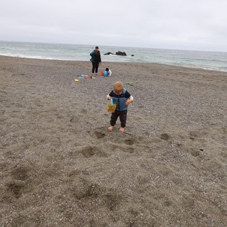 Toddler Explores Rocky Pacific Beach on Father's Day