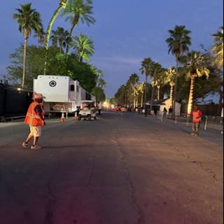 Evening Stroll Along the Palms