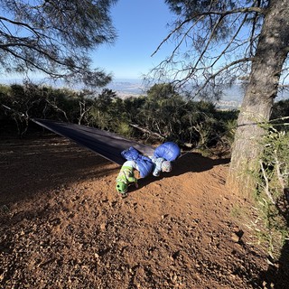 Children Resting in Hammock at Mount Diablo Summit