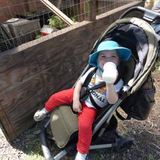 Little Explorer at Rest