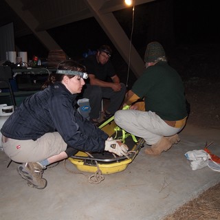 Night Rescue Team Prepares Stretcher for Operation