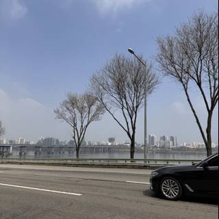Urban Solitude: Resting Wheels in Seoul