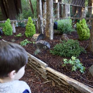 Exploring the Woodland Garden