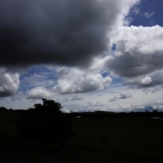 Cloudy Skies Over Scribe Vineyard