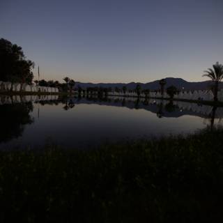 Serene Pond in the Heart of Coachella