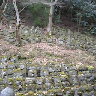 Stone guardians of the forest