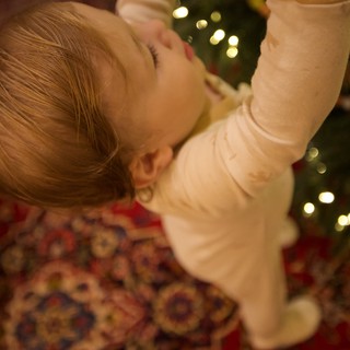 Peaceful Christmas Morning Sleep with Twinkling Tree Lights