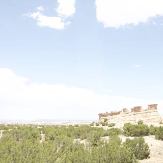 Desert Fortress