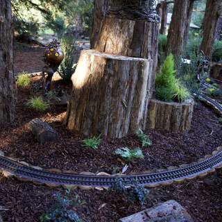 Enchanted Woodland at Thistlewyck