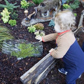 Discovering Nature's Wonders