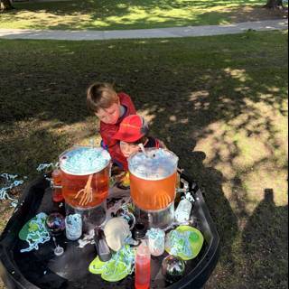 Playful Experiments in the Park
