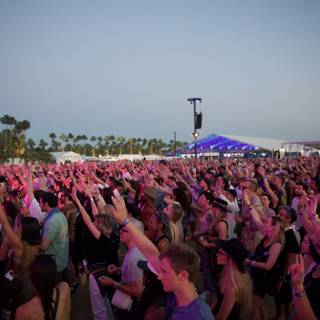 Unity and Excitement at Coachella 2024 - Weekend 2