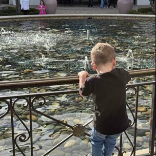 Curiosity by the Fountain