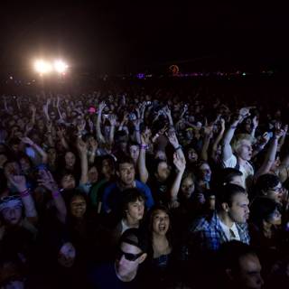 Electrifying Crowd at 2010 Cochella Concert