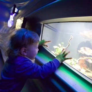 aquarium or marine science center
