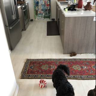 Canine Companions in the Kitchen