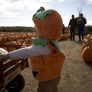 Charming Moments in Halfmoon Bay Pumpkin Patch 2023
