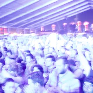 Coachella 2012 Nightlife: The Ultimate Clubbing Experience