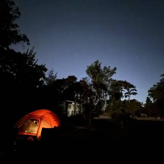Mystical Night Under The Stars: First Camping Trip 2023