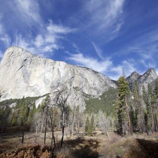 Half Dome Majesty: Yosemite 2023