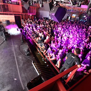 Massive Crowd Engulfed in Purple Light at Wobbleland