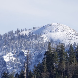 Snow-Covered Mountain Peak Through Winter Forest