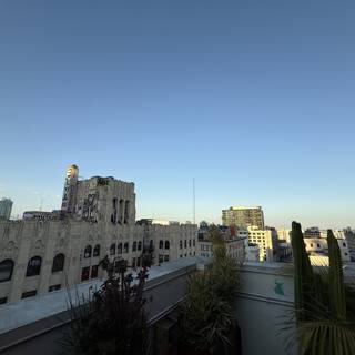 Urban Canopy at Dusk