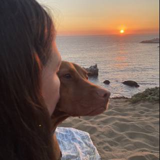 Sunset Stroll with My Furry Friend