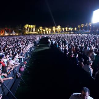 Electric Night: A Crowd at Coachella 2009 Concert