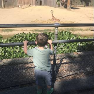 Curious Encounters at the Zoo