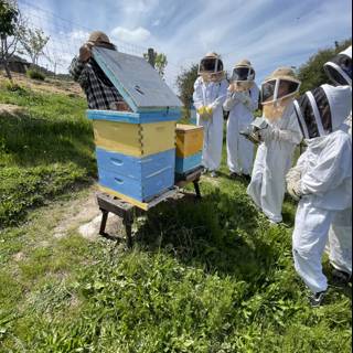 Beekeepers working in the apiary under the blue sky and cloudy weather