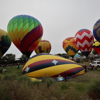 Colorful Hot Air Balloons Rising at Sonoma Classic