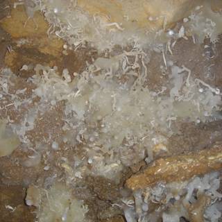 White crystals on cave rock