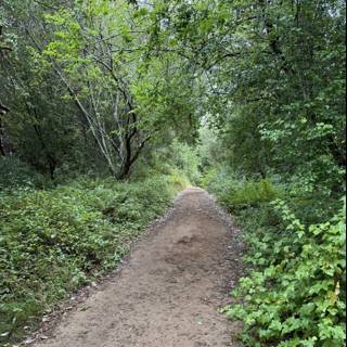 Nature's Pathway