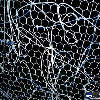 Blue Lines on a Soccer Net