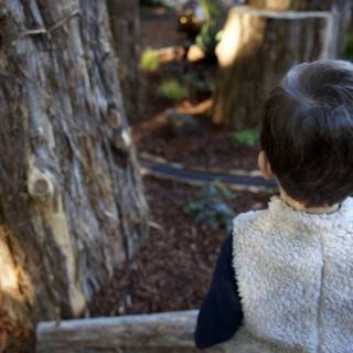 Exploring the Woods