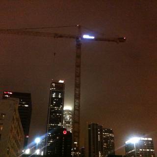 A Crane in the Night