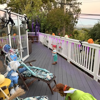 Halloween Deck Party with Decorated Dogs and Spooky Decor