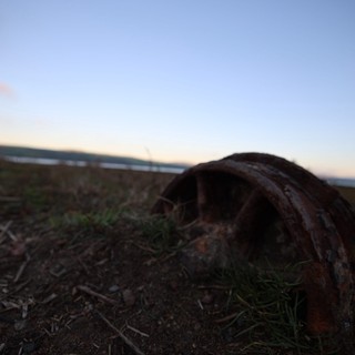 Weathered Driftwood at Drakes Beach at Twilight