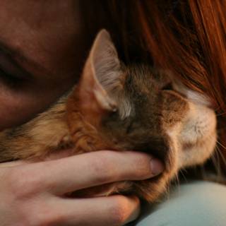 Woman Cuddling with Her Feline Friend